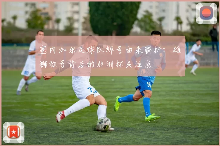 塞内加尔足球队绰号由来解析:雄狮称号背后的非洲杯关注点