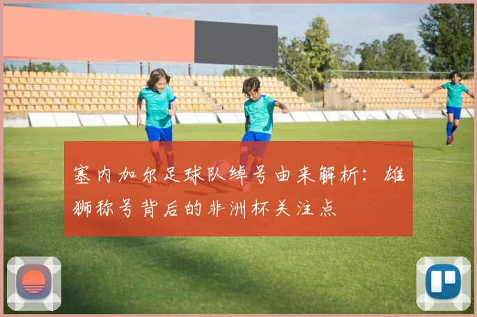 塞内加尔足球队绰号由来解析：雄狮称号背后的非洲杯关注点
