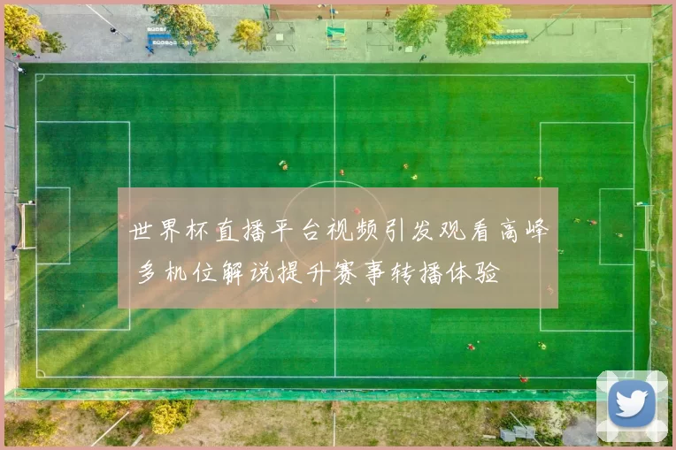 世界杯直播平台视频引发观看高峰 多机位解说提升赛事转播体验
