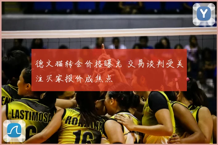 德文猫转会价格曝光 交易谈判受关注买家报价成焦点