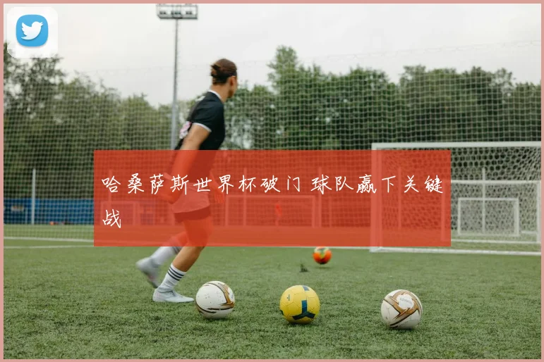 哈桑萨斯世界杯破门 球队赢下关键战